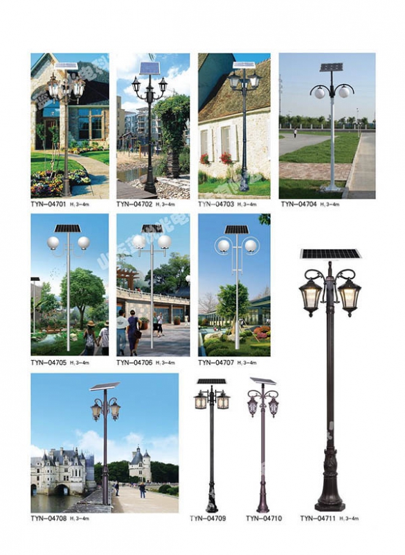  Shandong LED solar street lamp
